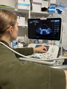 Radio- en Echografie