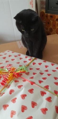 4453b984-226b-4112-85fc-fa8b2a8ae5a5