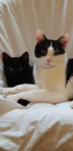 4ec87dd9-dc93-4b44-9d89-0799f1282cb3