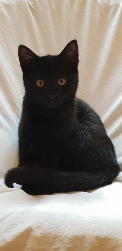 fcdca965-e9bc-443d-8381-0d872a5df41e